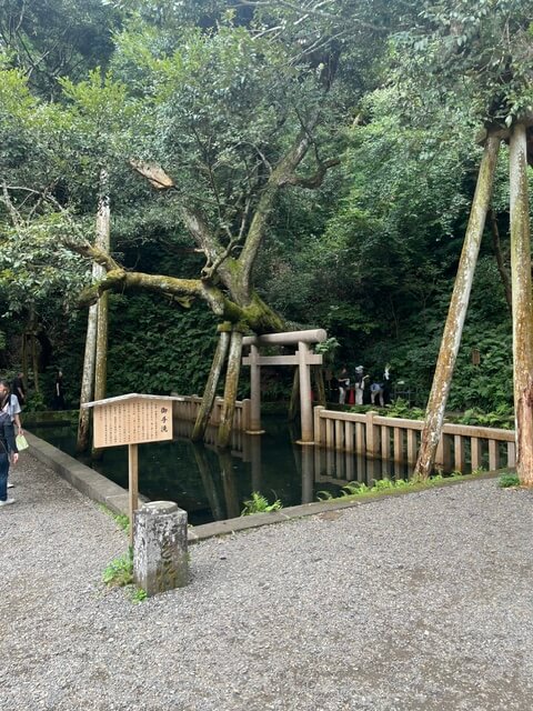鹿島神宮の御手洗池