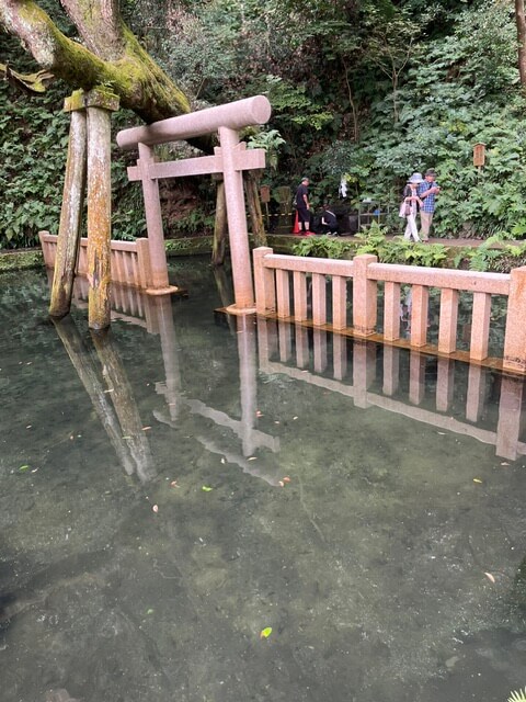 鹿島神宮の御手洗池の鳥居